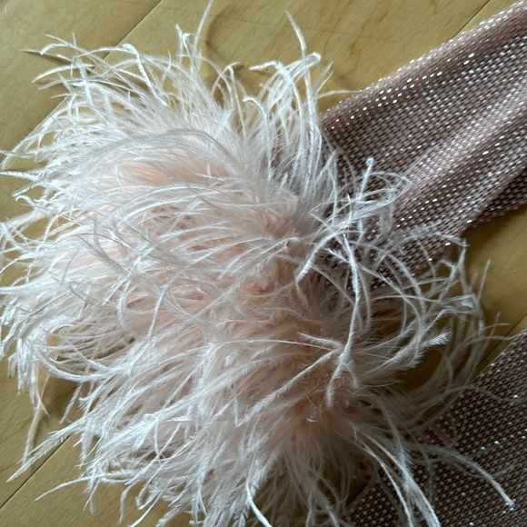 CUSTOM Mesh Rhinestone Dress Feathers Mini Dress in Pink - Picture 5 of 6